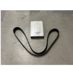 Renault Megane F4R Auxiliary Belt 2.0 Petrol