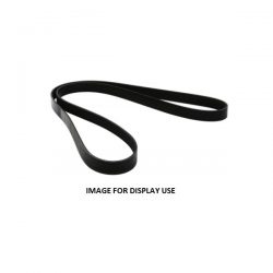 Renault Clio 172 182 Auxiliary Belt No Air Con