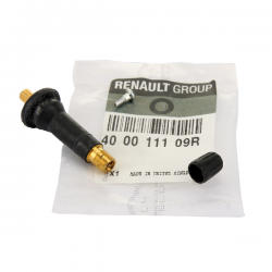 Dacia Renault Tyre Valve 400011109R