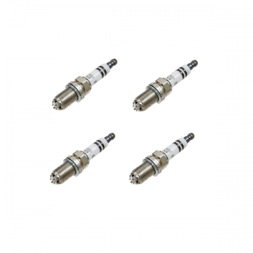 Renault Clio Williams Spark Plugs