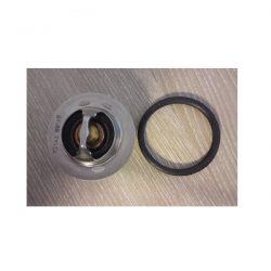 Renault Megane MK3 RS Thermostat