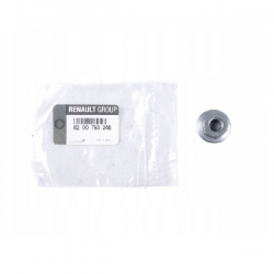 Renault Exhaust Cam Nut 8200793248