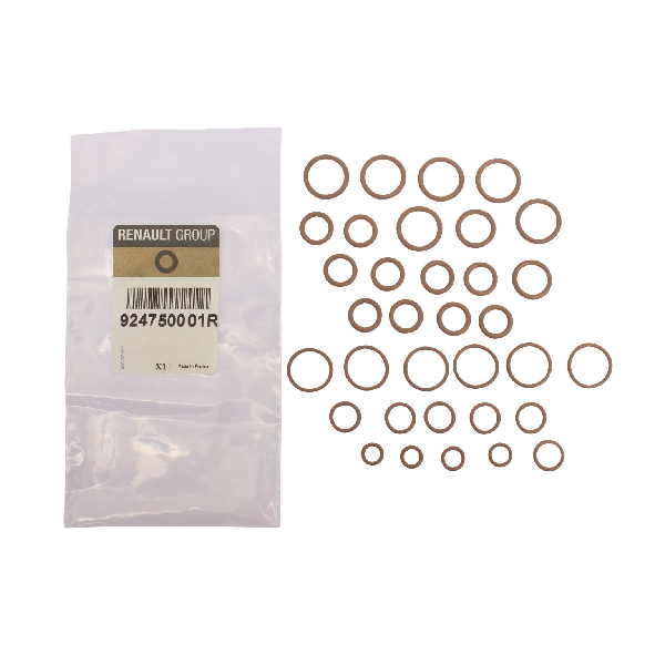 Renault Laguna Megane Air Con Seal Kit 924750001R