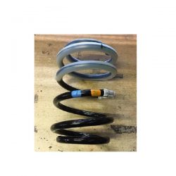 Renault Clio 197 200 Front Coil Spring